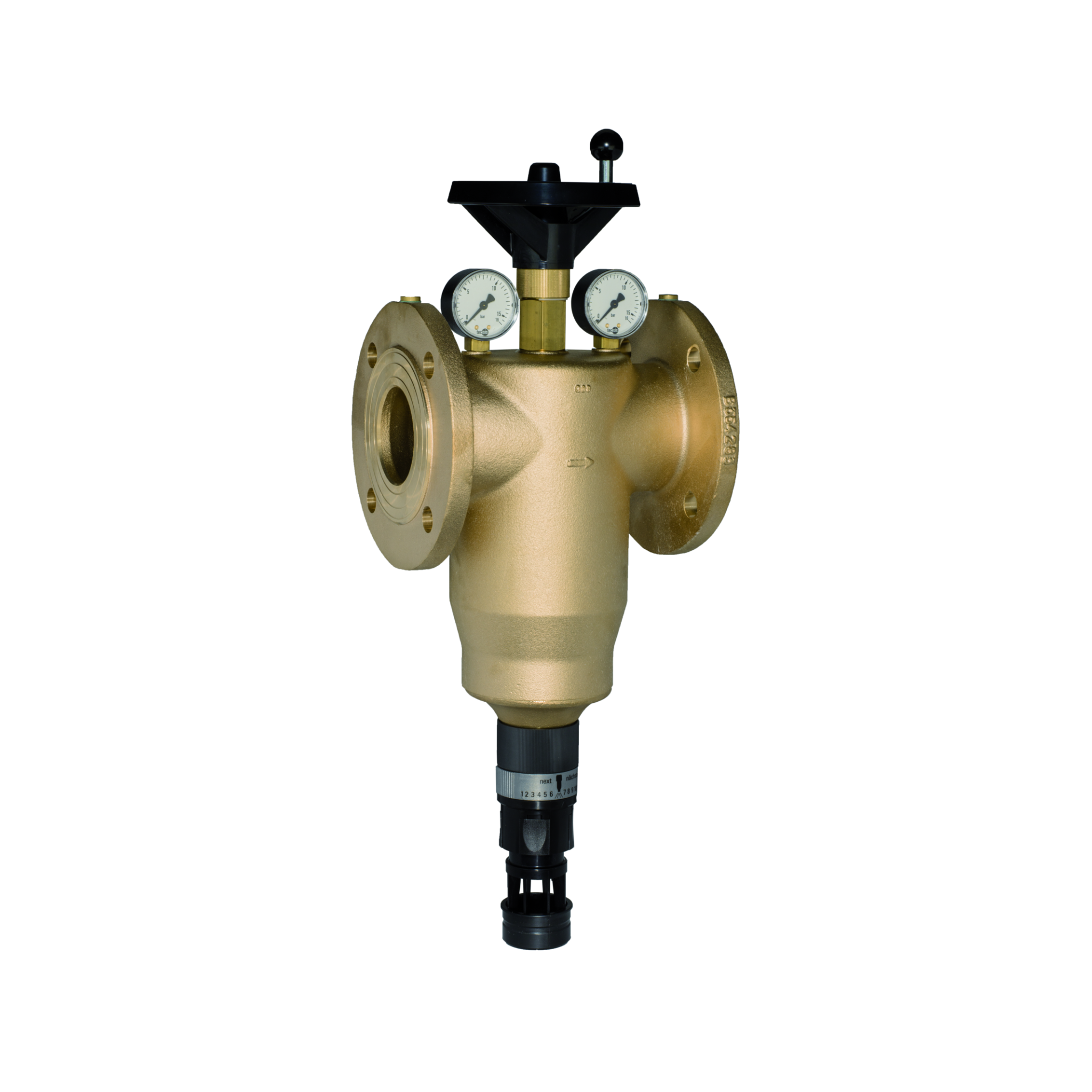 BWT Multipur M Backwash filter | DN 65 - DN 150