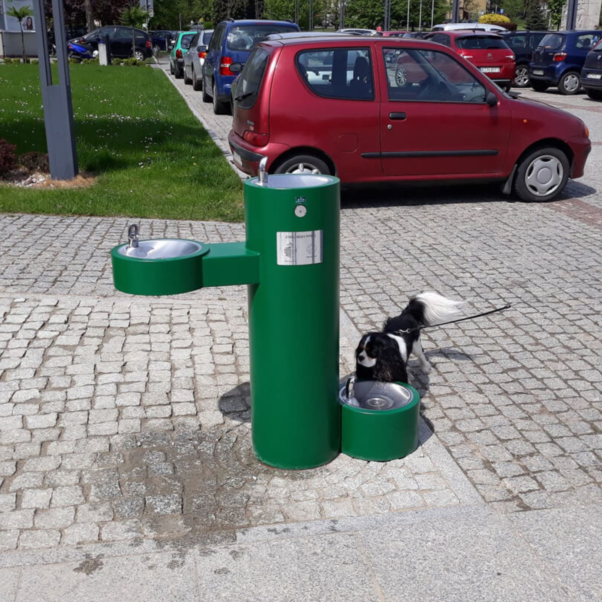 Murdock GRM-PF | 142.500.314 | Bi-Level, Pedestal Outdoor Drinking Fountain - ADA, Stainless Steel with Pet Fountain