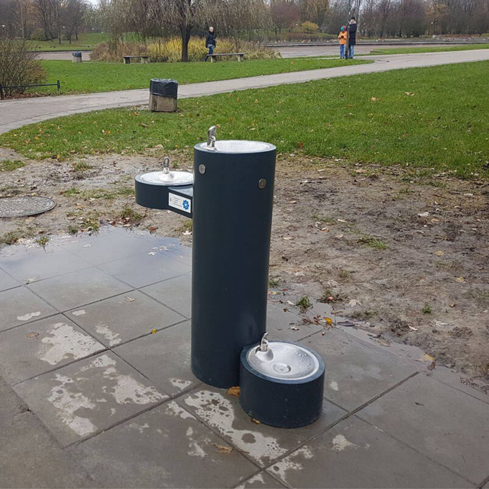 Murdock GRM-PF | 142.500.314 | Bi-Level, Pedestal Outdoor Drinking Fountain - ADA, Stainless Steel with Pet Fountain