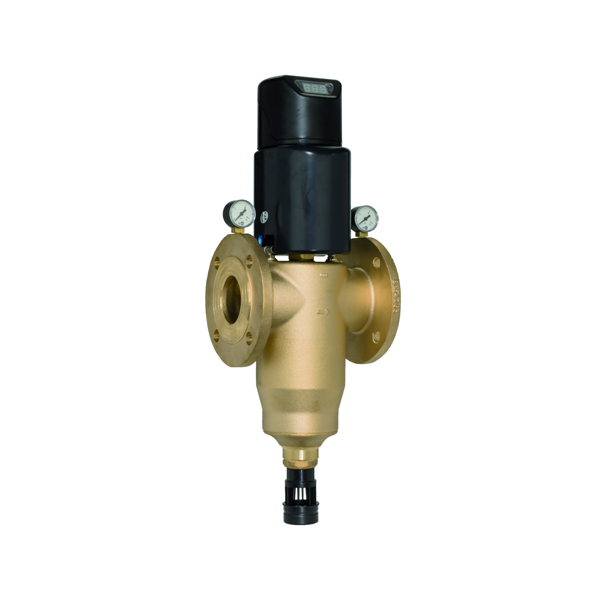 BWT Multipur AP Backwash filter | DN 65 - DN 150